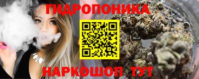 ALPHA PVP Новозыбков