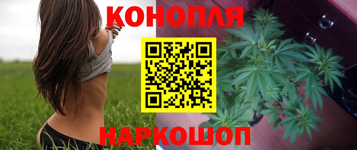 Бошки Шишки Amnesia Усолье-Сибирское